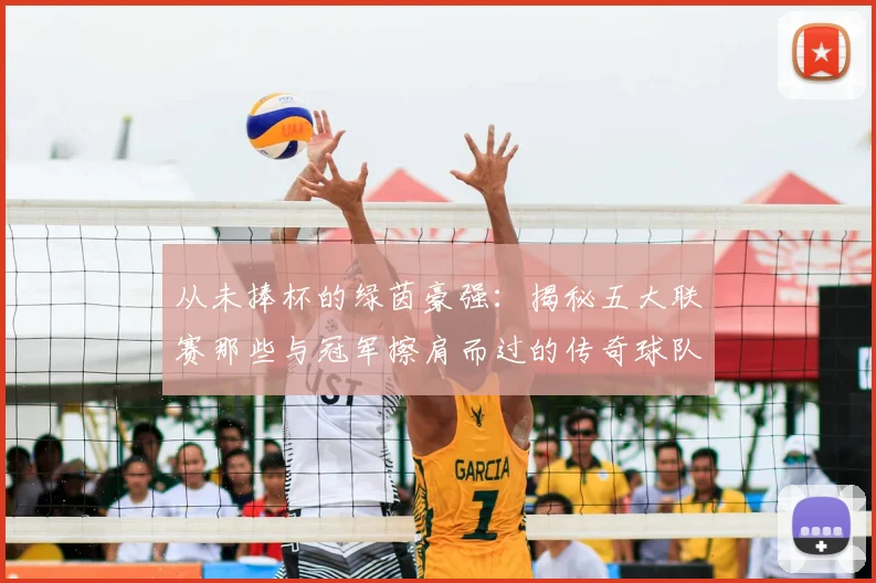 从未捧杯的绿茵豪强:揭秘五大联赛那些与冠军擦肩而过的传奇球队