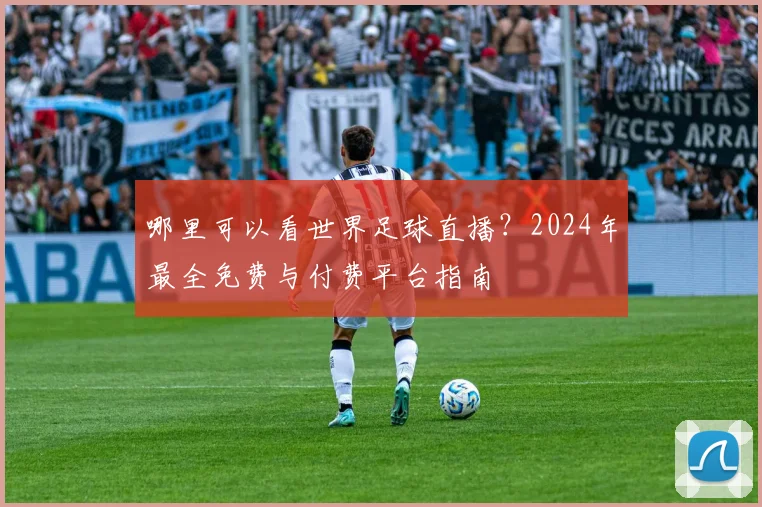 哪里可以看世界足球直播?2024年最全免费与付费平台指南